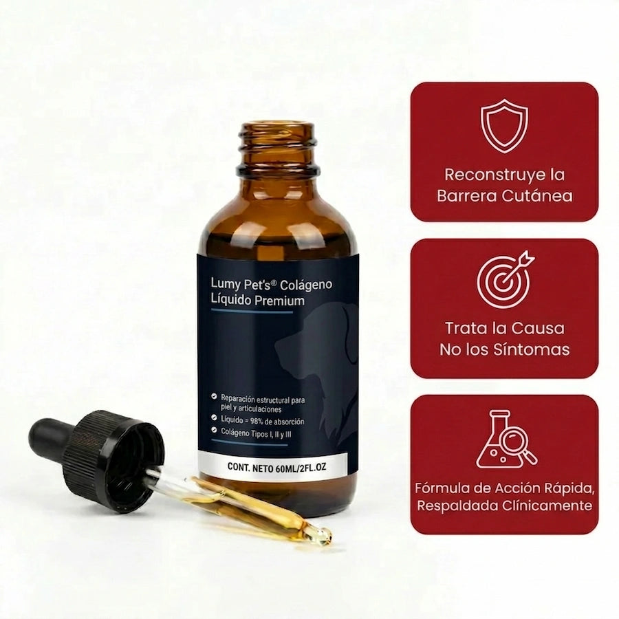 Healthy Pet's | Colágeno Líquido Premium