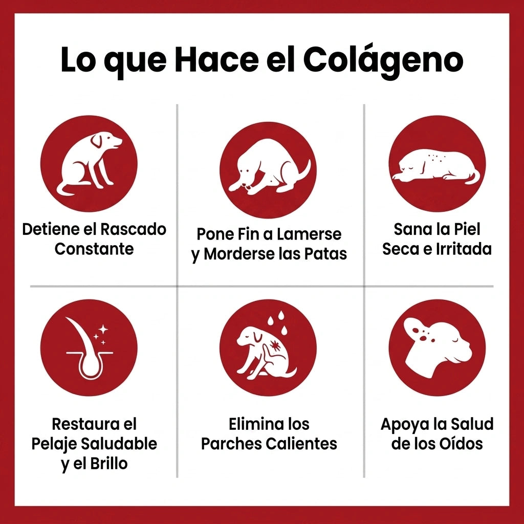 Healthy Pet's | Colágeno Líquido Premium
